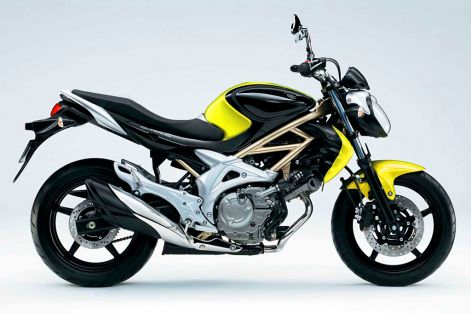 suzuki_gladius1.jpg